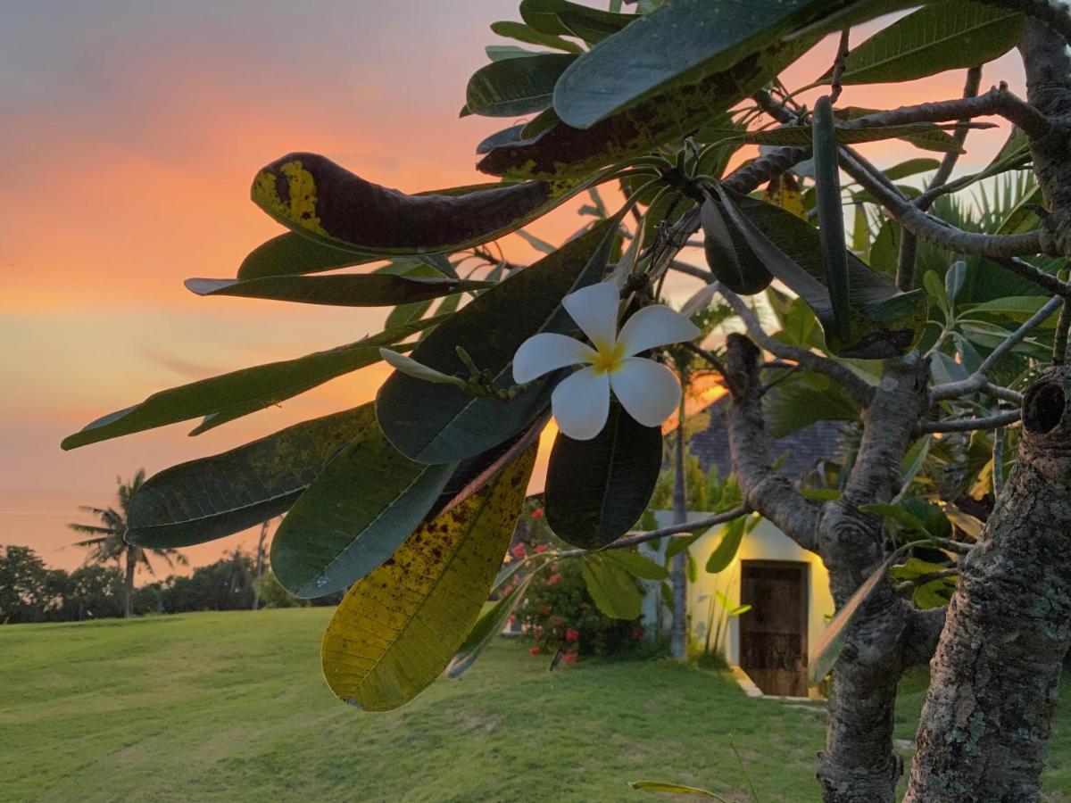 Hotel Balian Prana Selemadeg  Exterior foto